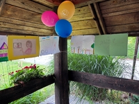 IMG 9637